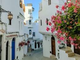 Private Tangier city tour with local driver